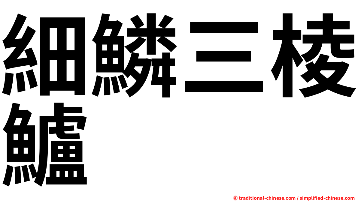 細鱗三棱鱸