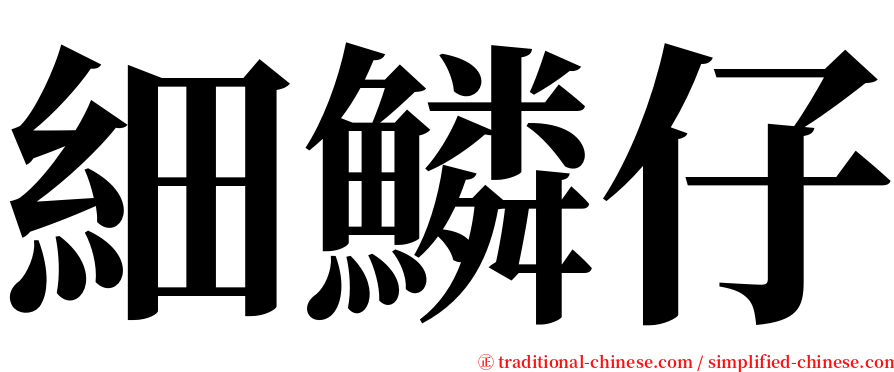 細鱗仔 serif font
