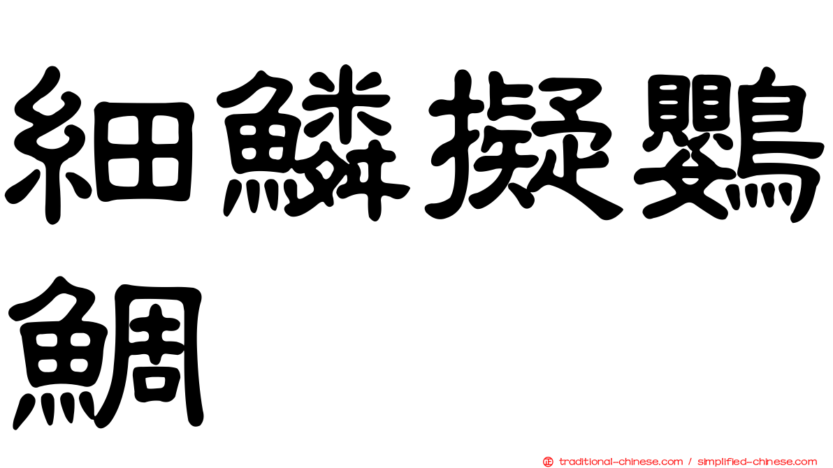 細鱗擬鸚鯛
