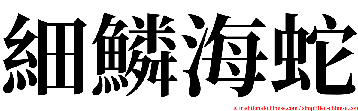 細鱗海蛇 serif font