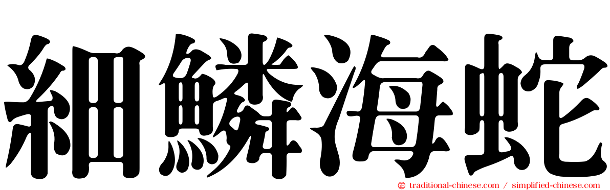 細鱗海蛇