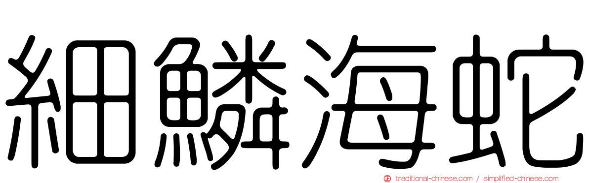 細鱗海蛇