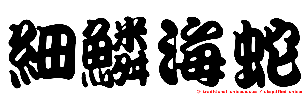 細鱗海蛇