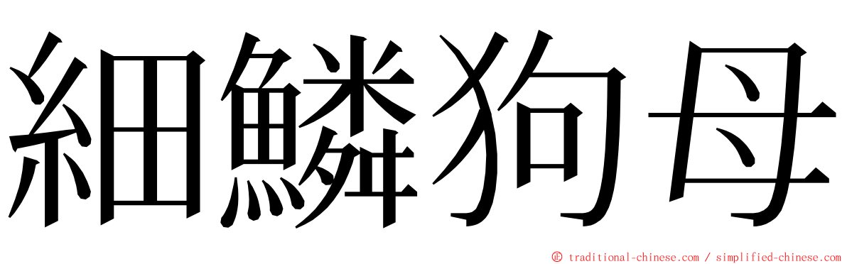 細鱗狗母 ming font