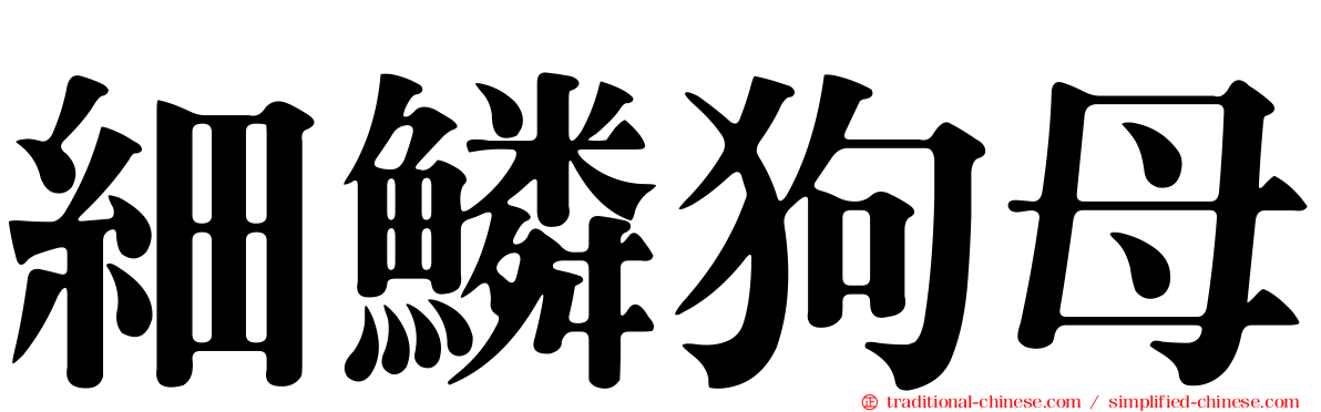 細鱗狗母
