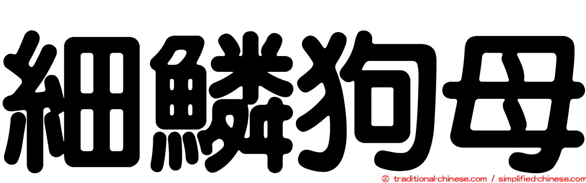 細鱗狗母