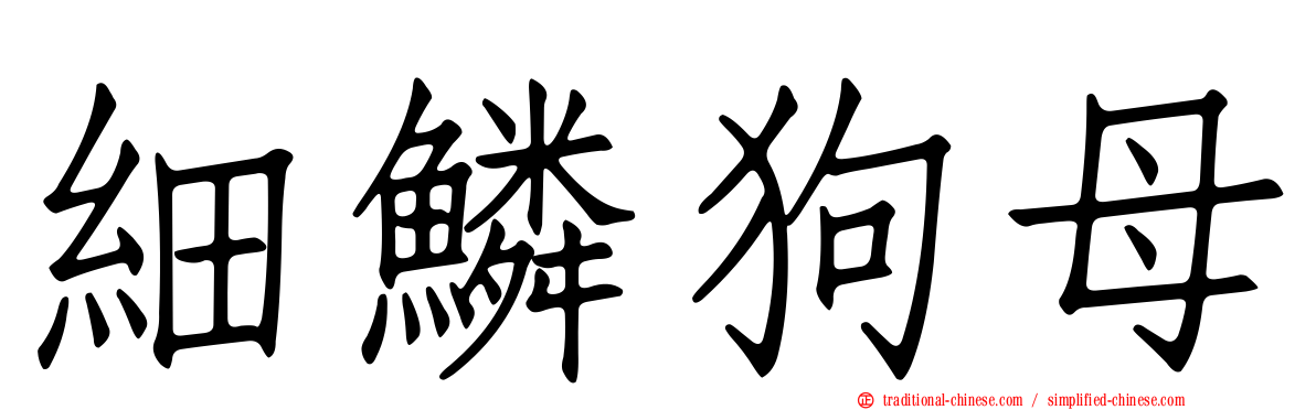 細鱗狗母