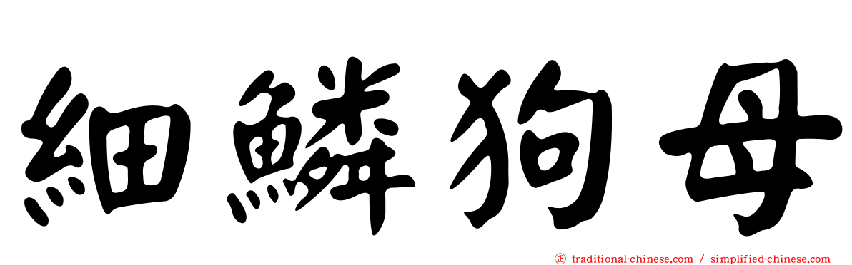 細鱗狗母