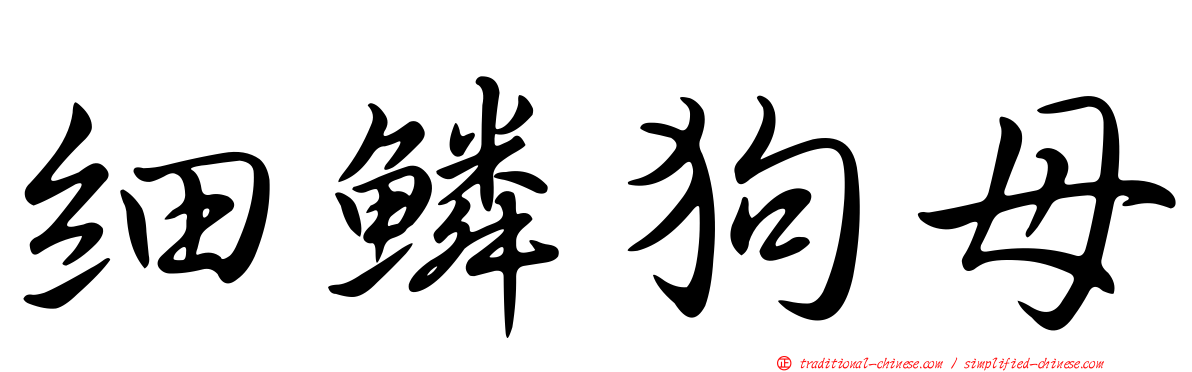 細鱗狗母