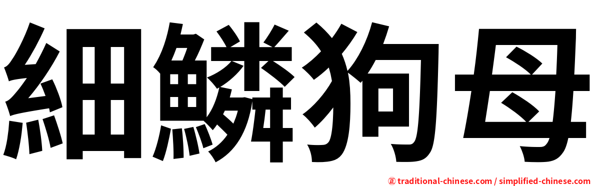 細鱗狗母