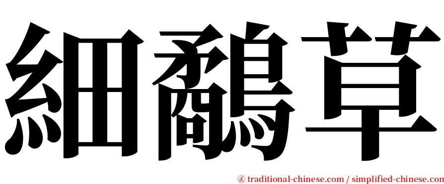 細鷸草 serif font