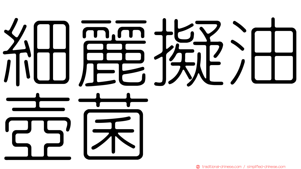 細麗擬油壺菌
