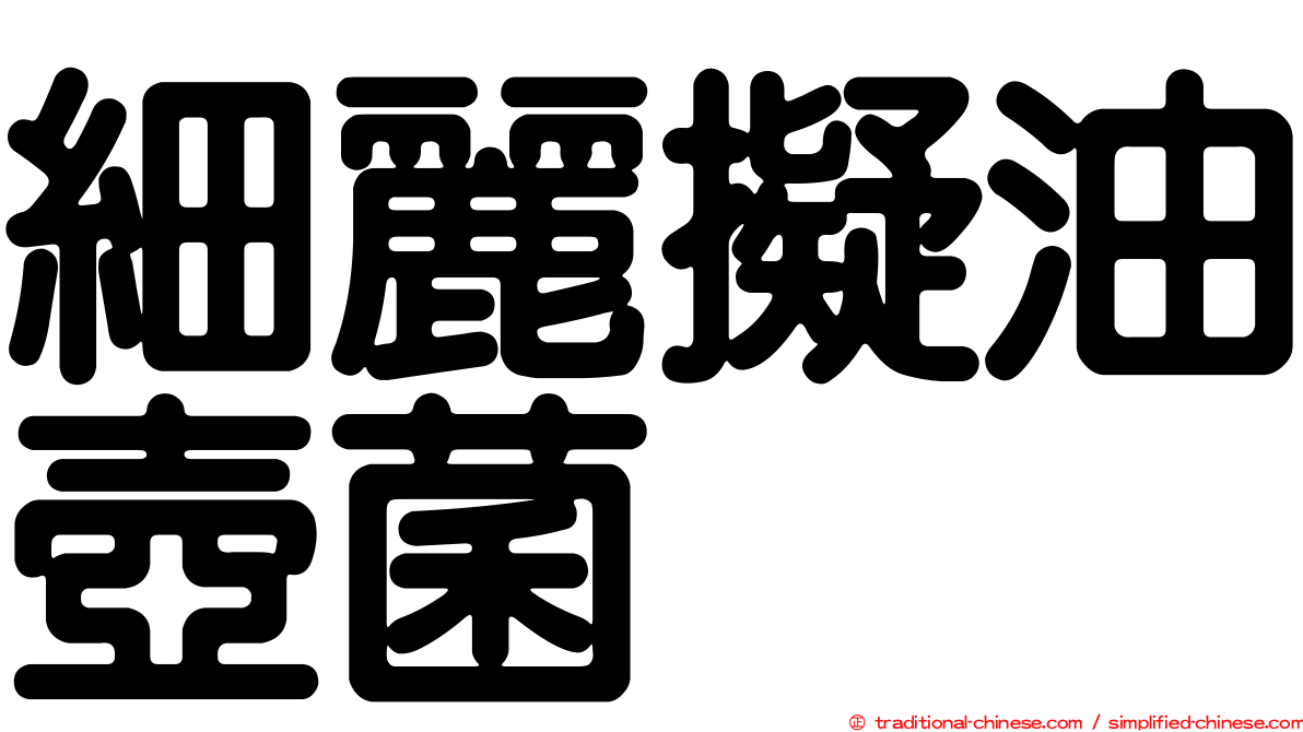 細麗擬油壺菌