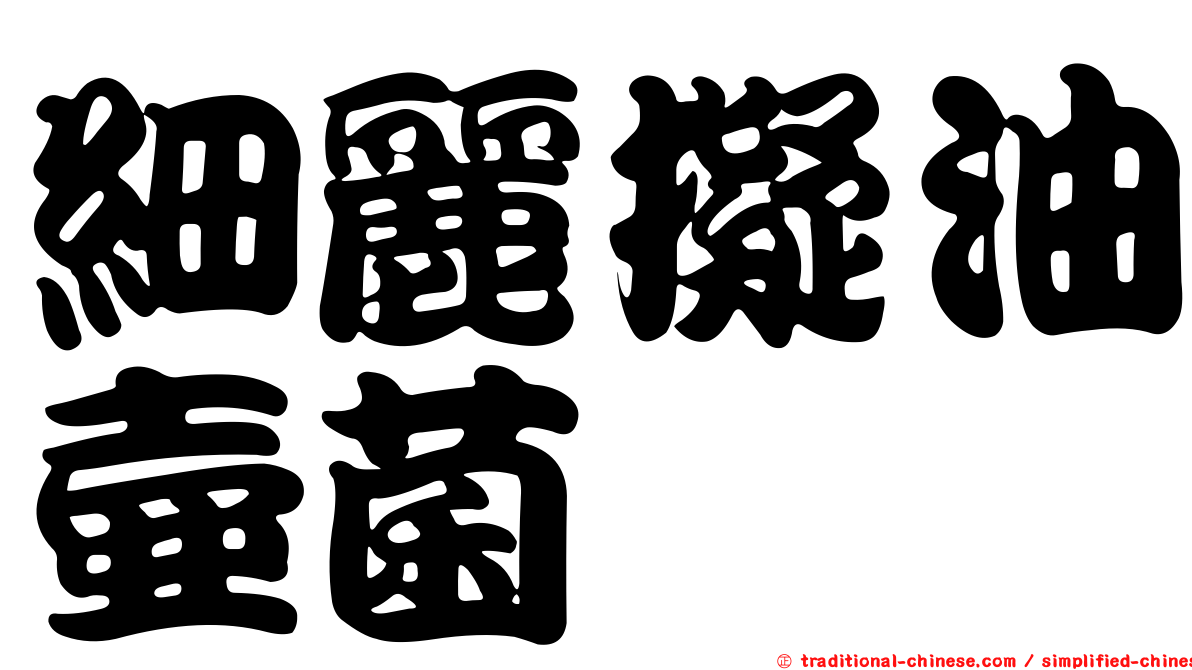 細麗擬油壺菌