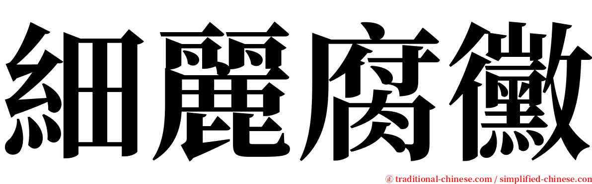 細麗腐黴 serif font