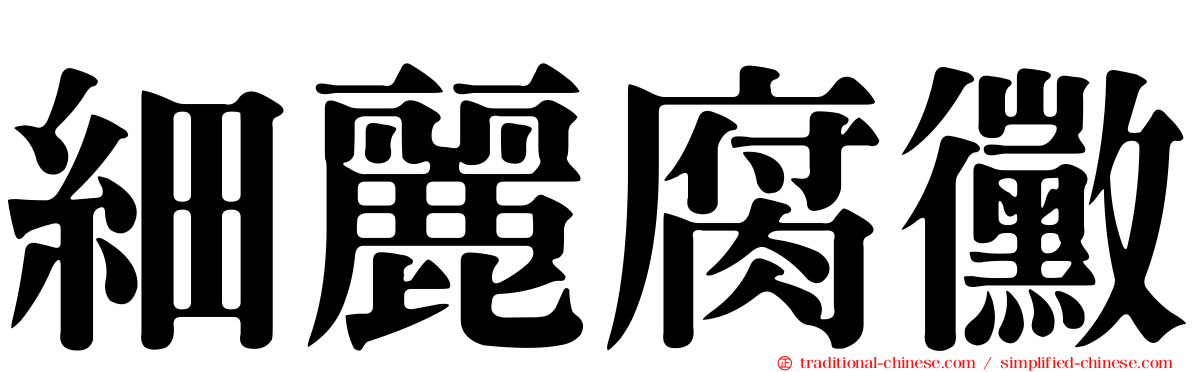 細麗腐黴