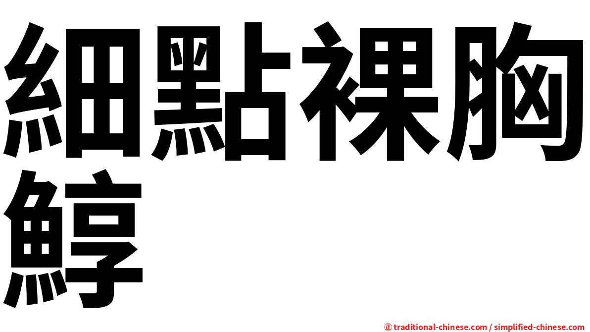 細點裸胸鯙