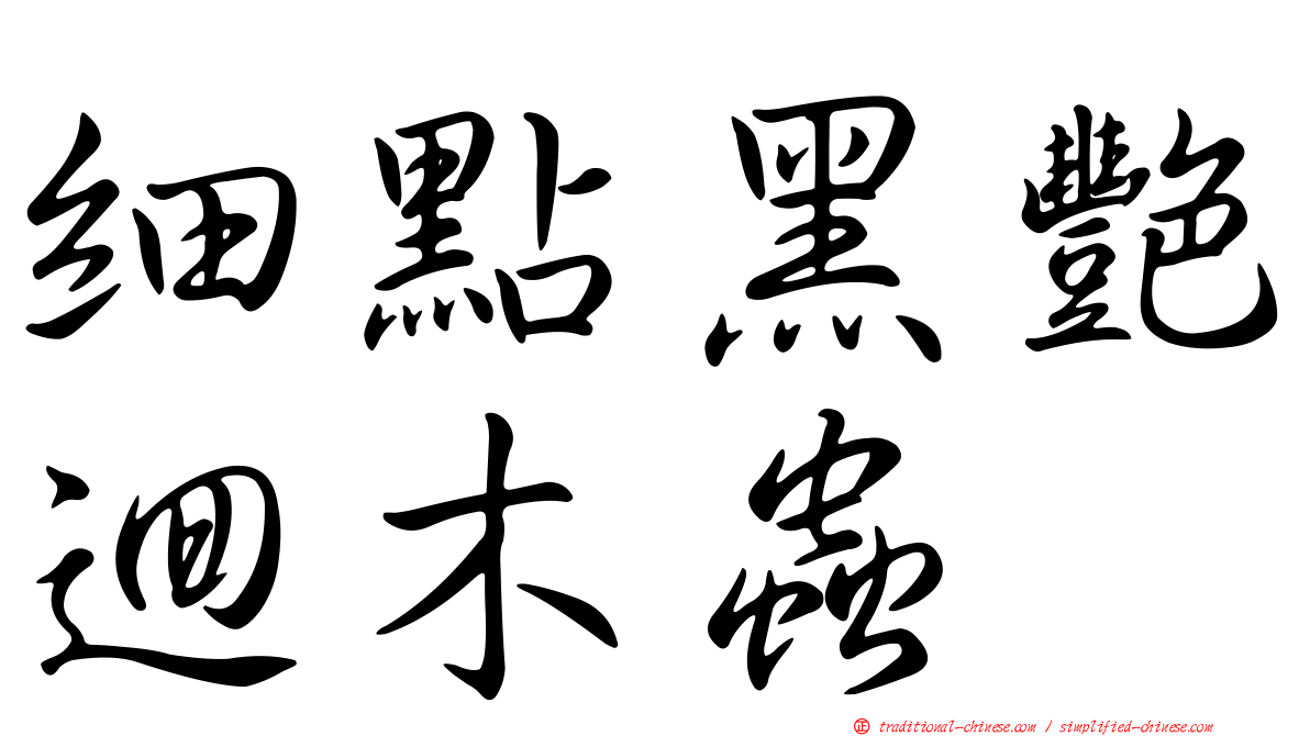 細點黑艷迴木蟲