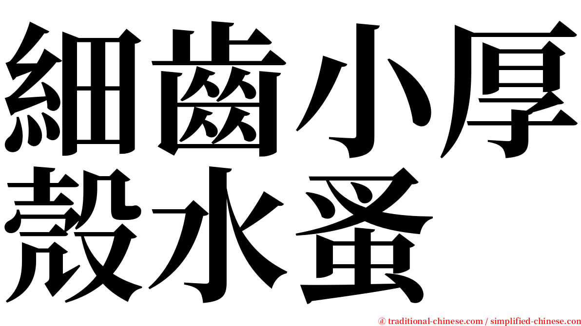 細齒小厚殼水蚤 serif font