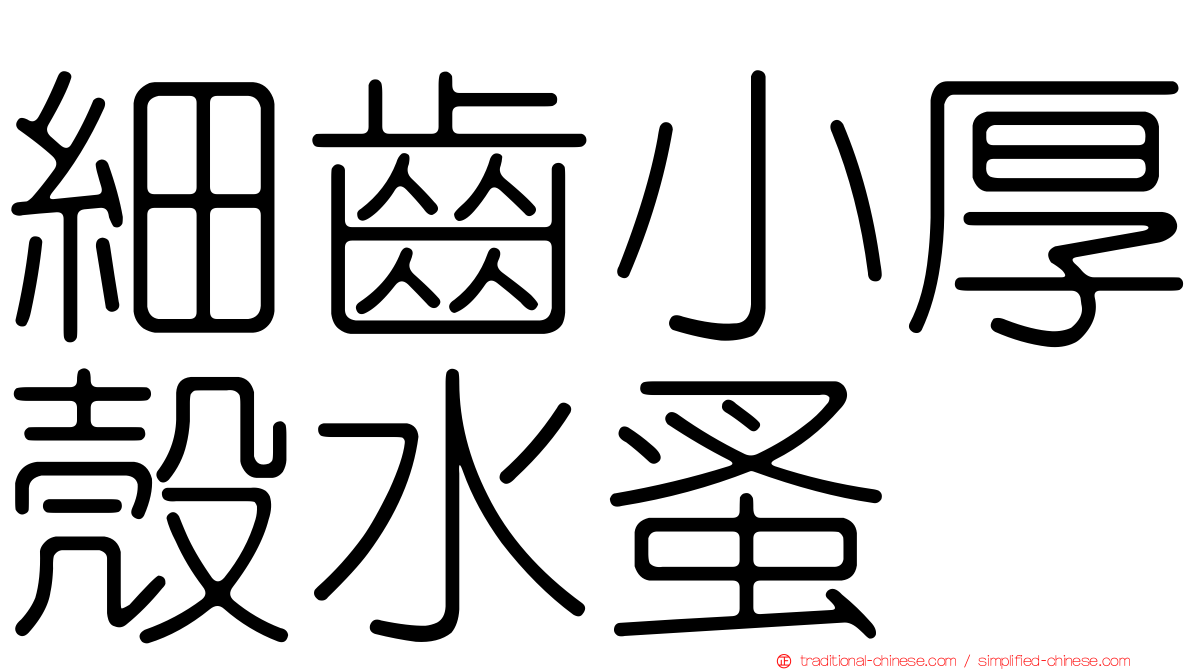 細齒小厚殼水蚤