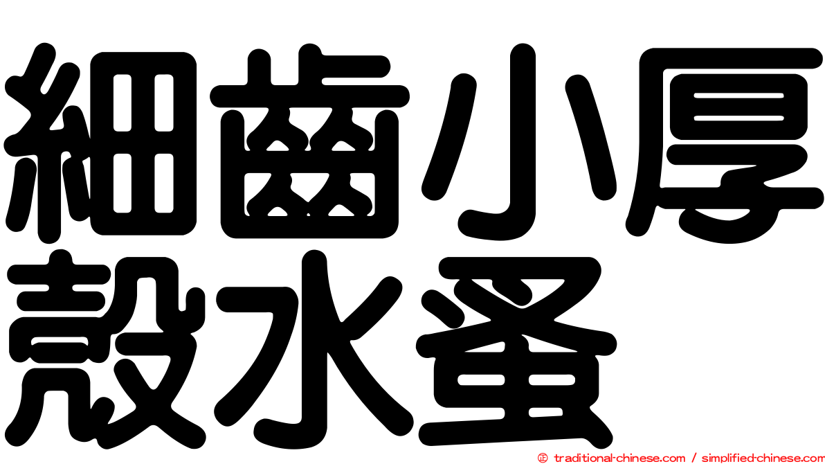 細齒小厚殼水蚤