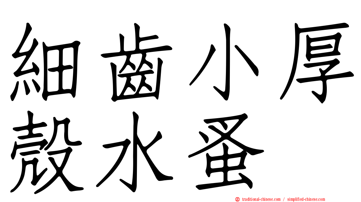 細齒小厚殼水蚤