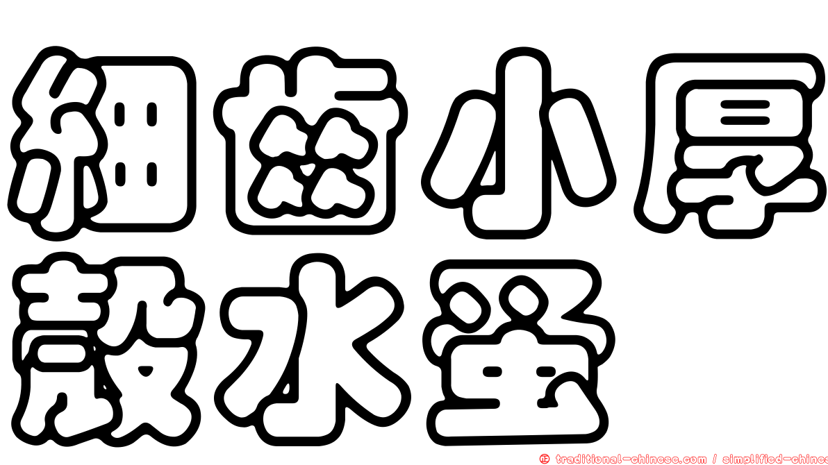 細齒小厚殼水蚤