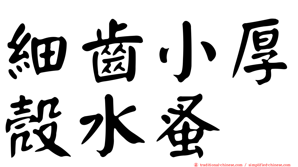 細齒小厚殼水蚤