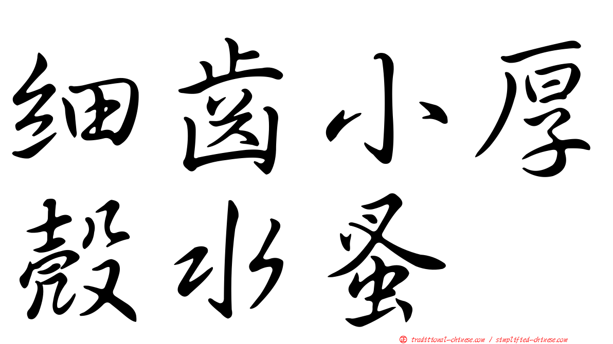 細齒小厚殼水蚤