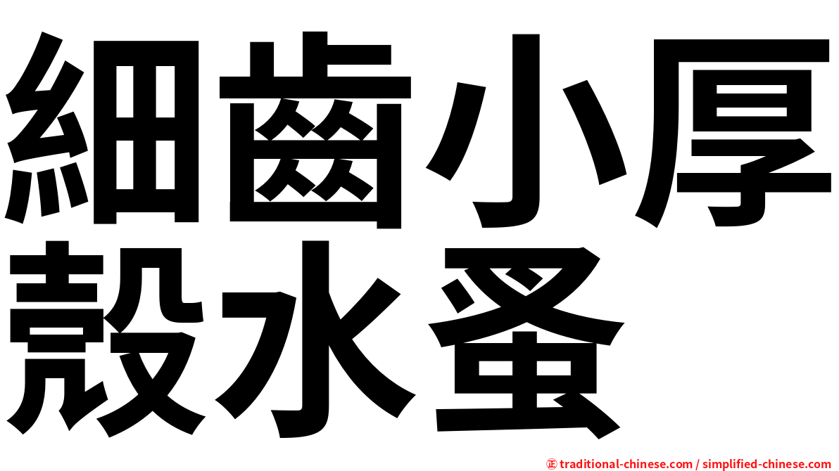 細齒小厚殼水蚤