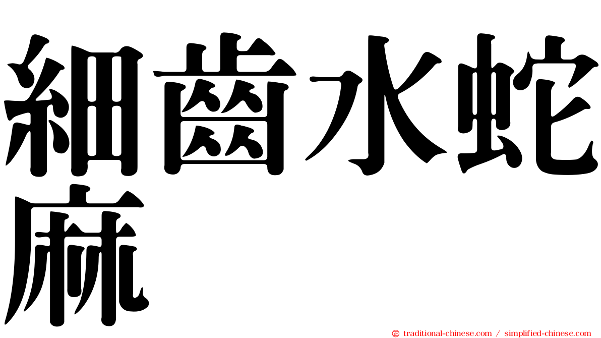 細齒水蛇麻