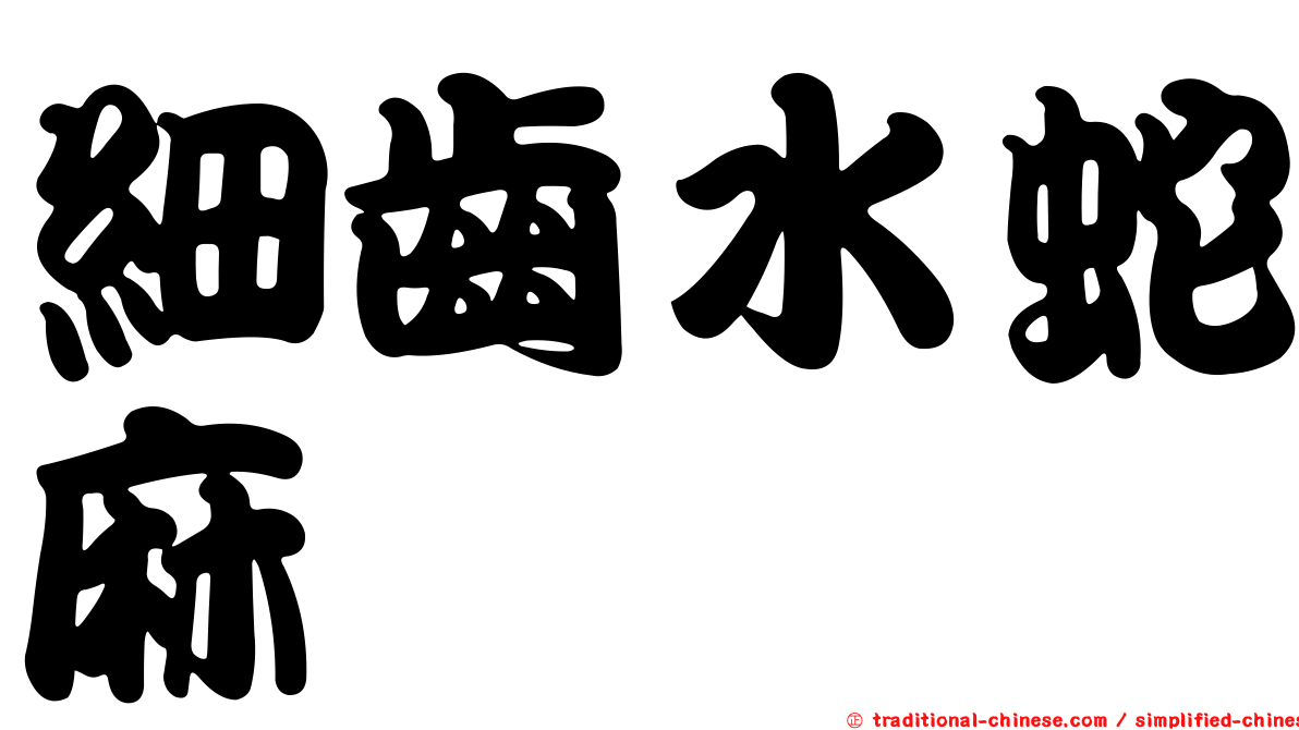 細齒水蛇麻