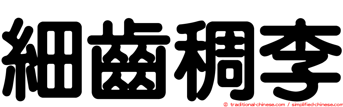 細齒稠李