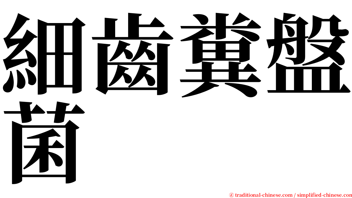 細齒糞盤菌 serif font