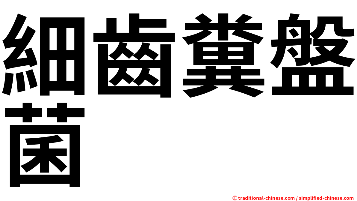 細齒糞盤菌