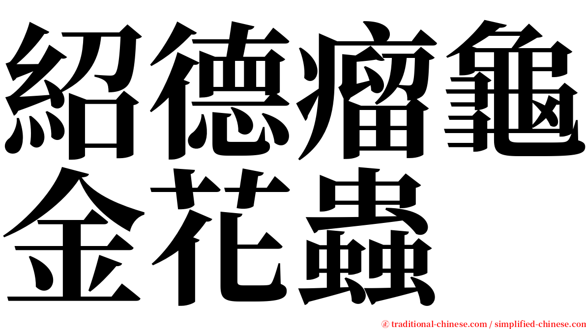 紹德瘤龜金花蟲 serif font