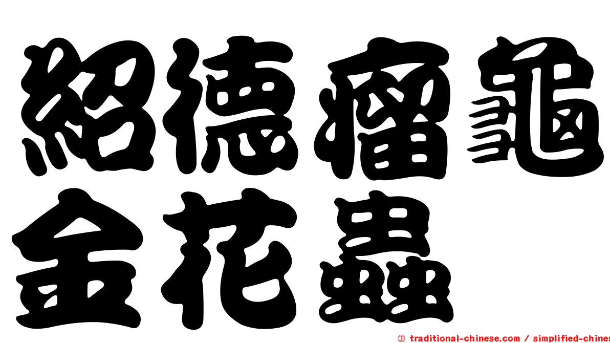 紹德瘤龜金花蟲