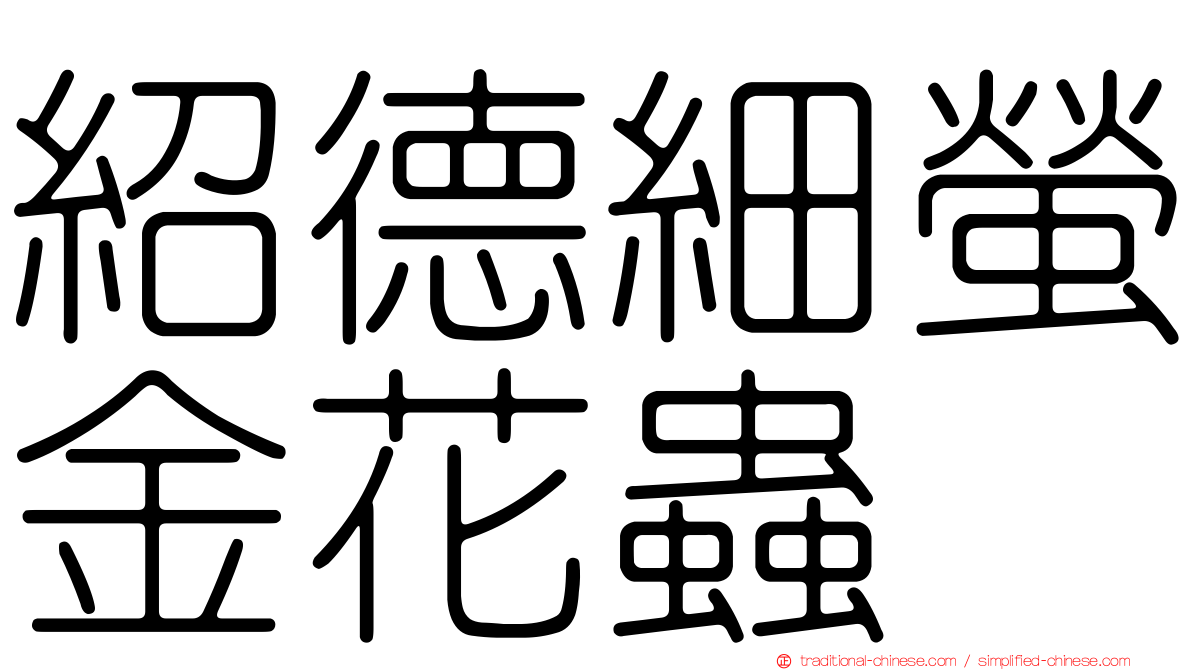 紹德細螢金花蟲