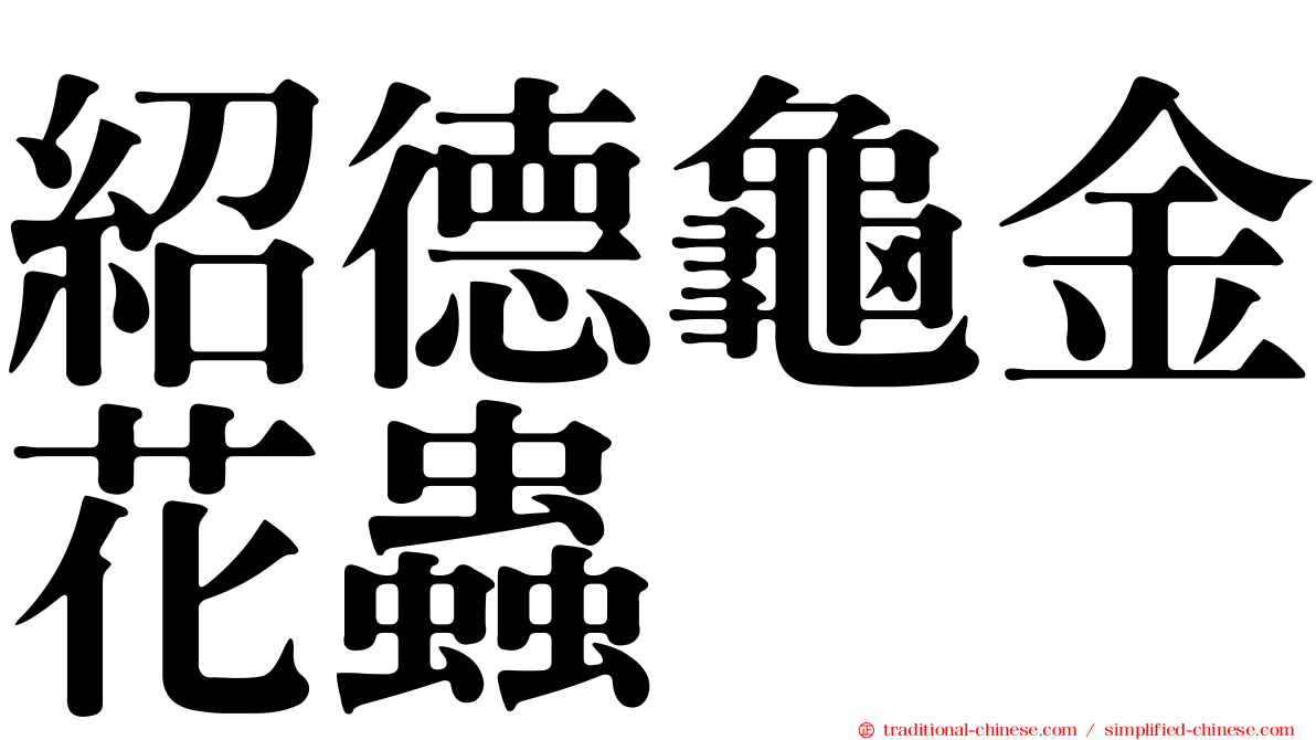 紹德龜金花蟲