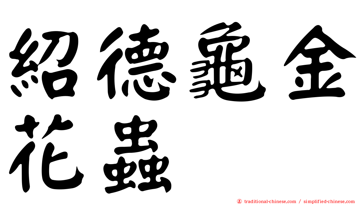 紹德龜金花蟲