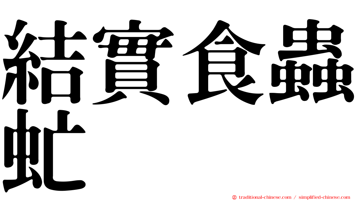 結實食蟲虻
