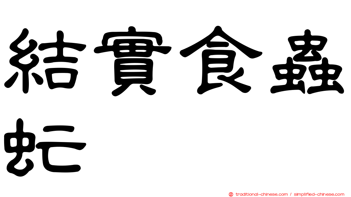 結實食蟲虻