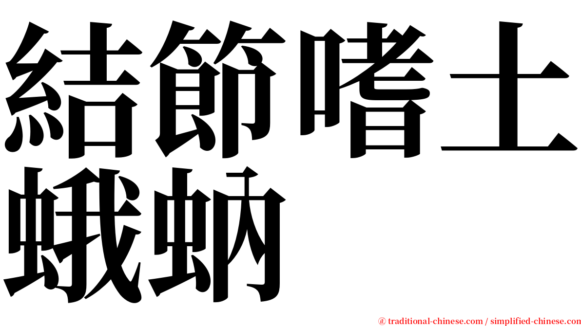 結節嗜土蛾蚋 serif font