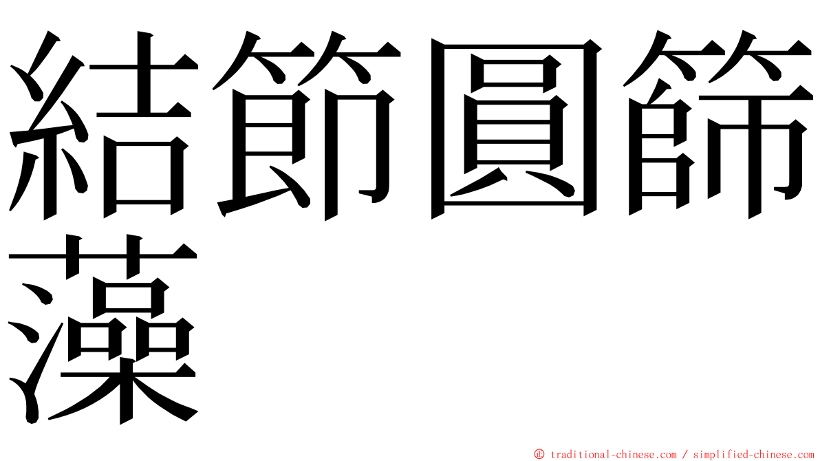 結節圓篩藻 ming font