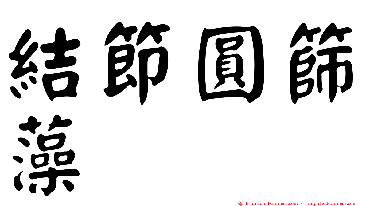 結節圓篩藻