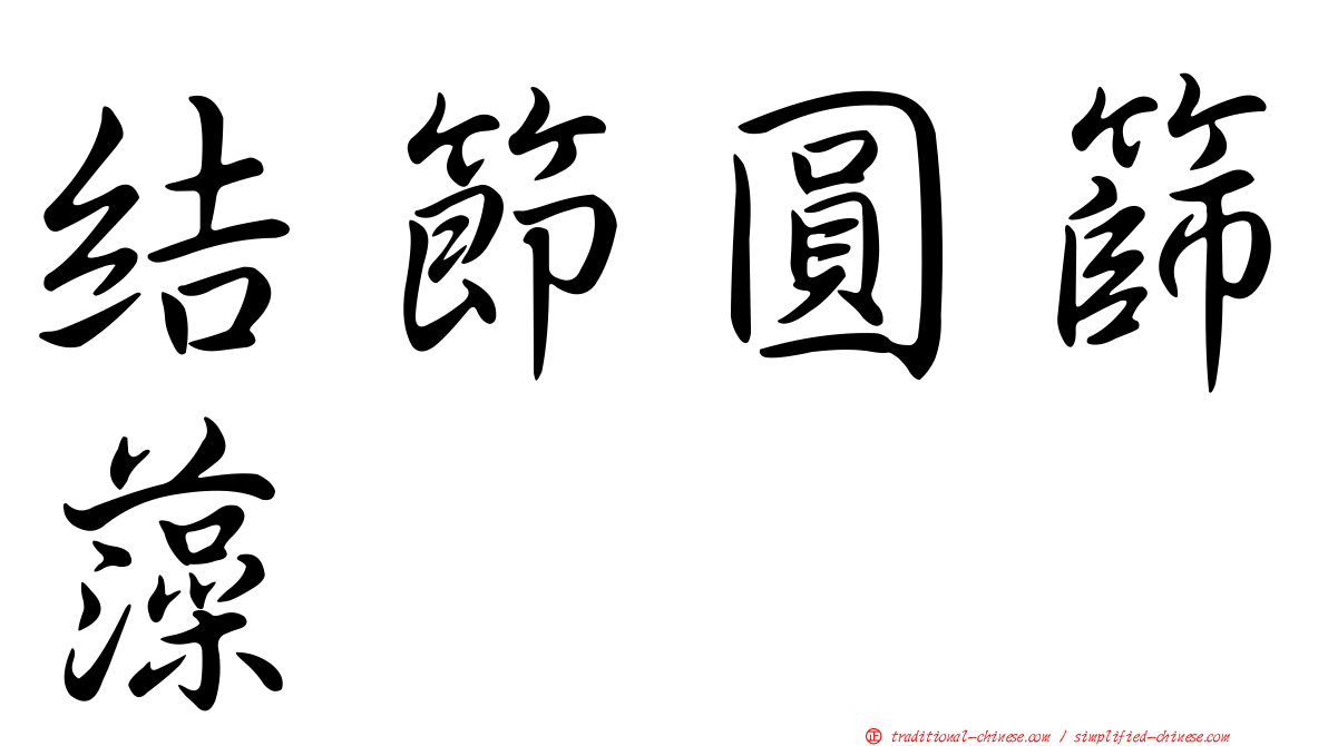 結節圓篩藻