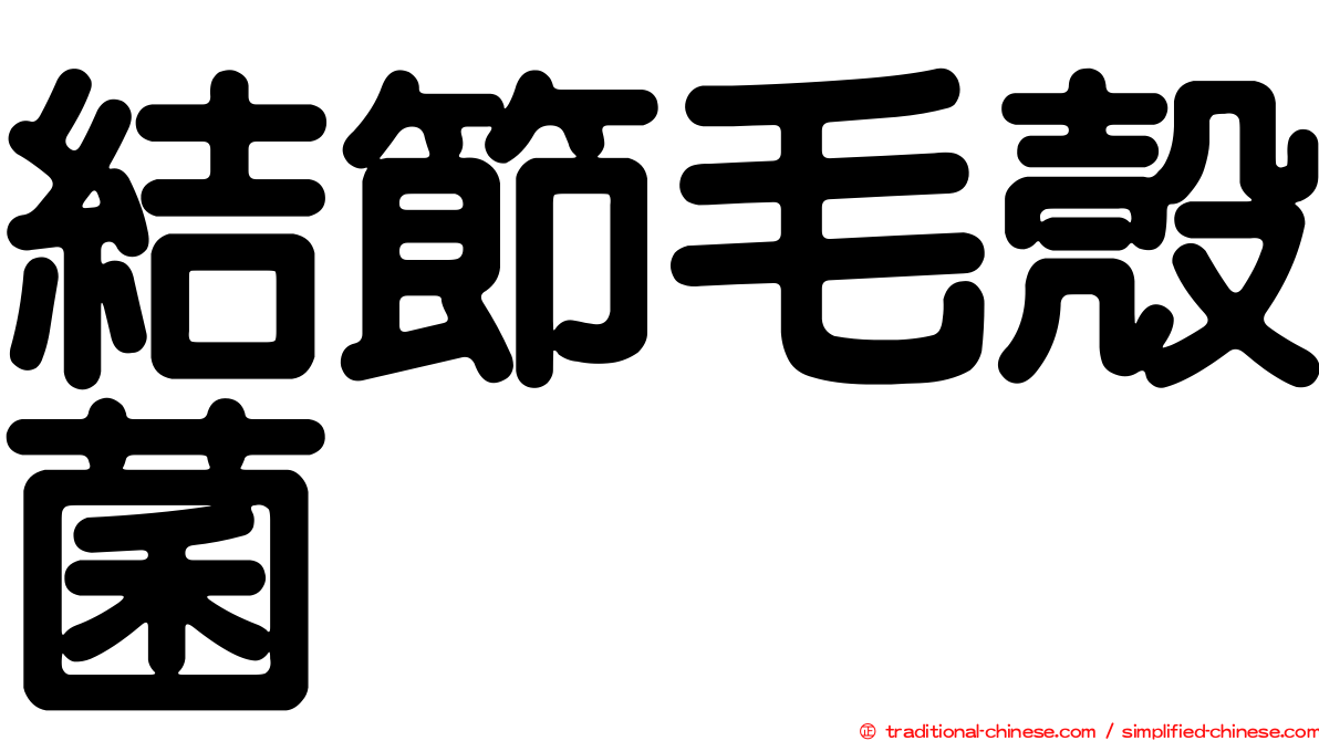結節毛殼菌