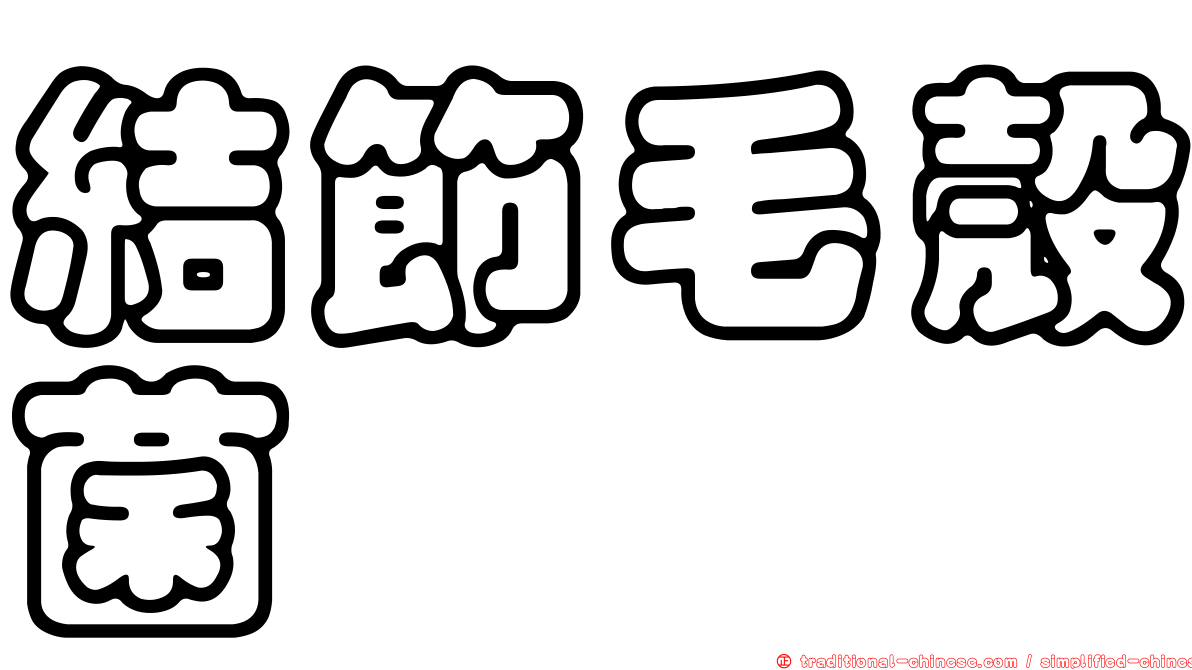 結節毛殼菌
