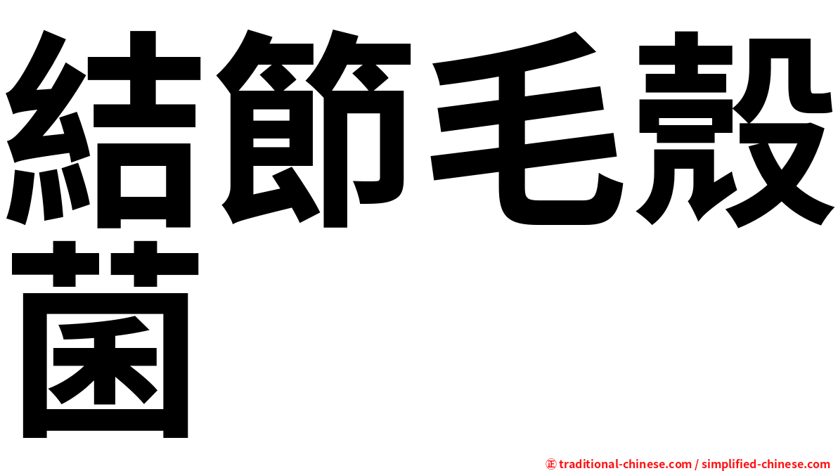 結節毛殼菌