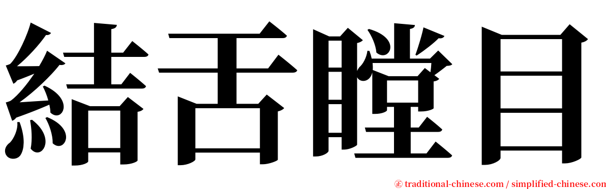 結舌瞠目 serif font